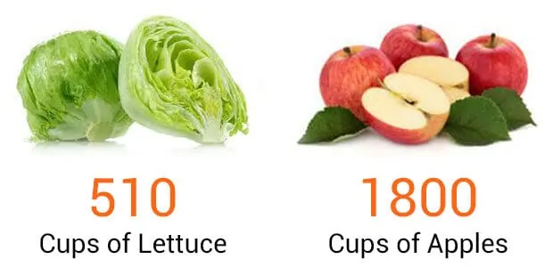 Lettuce and apples comparison