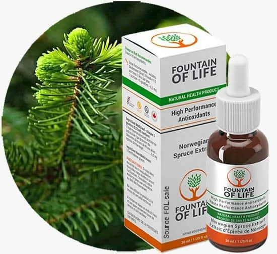 fountain of life drops - spruce tree product